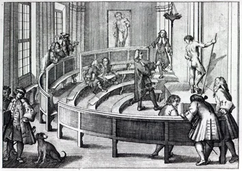 Lekcja rysowania życia, 1739
